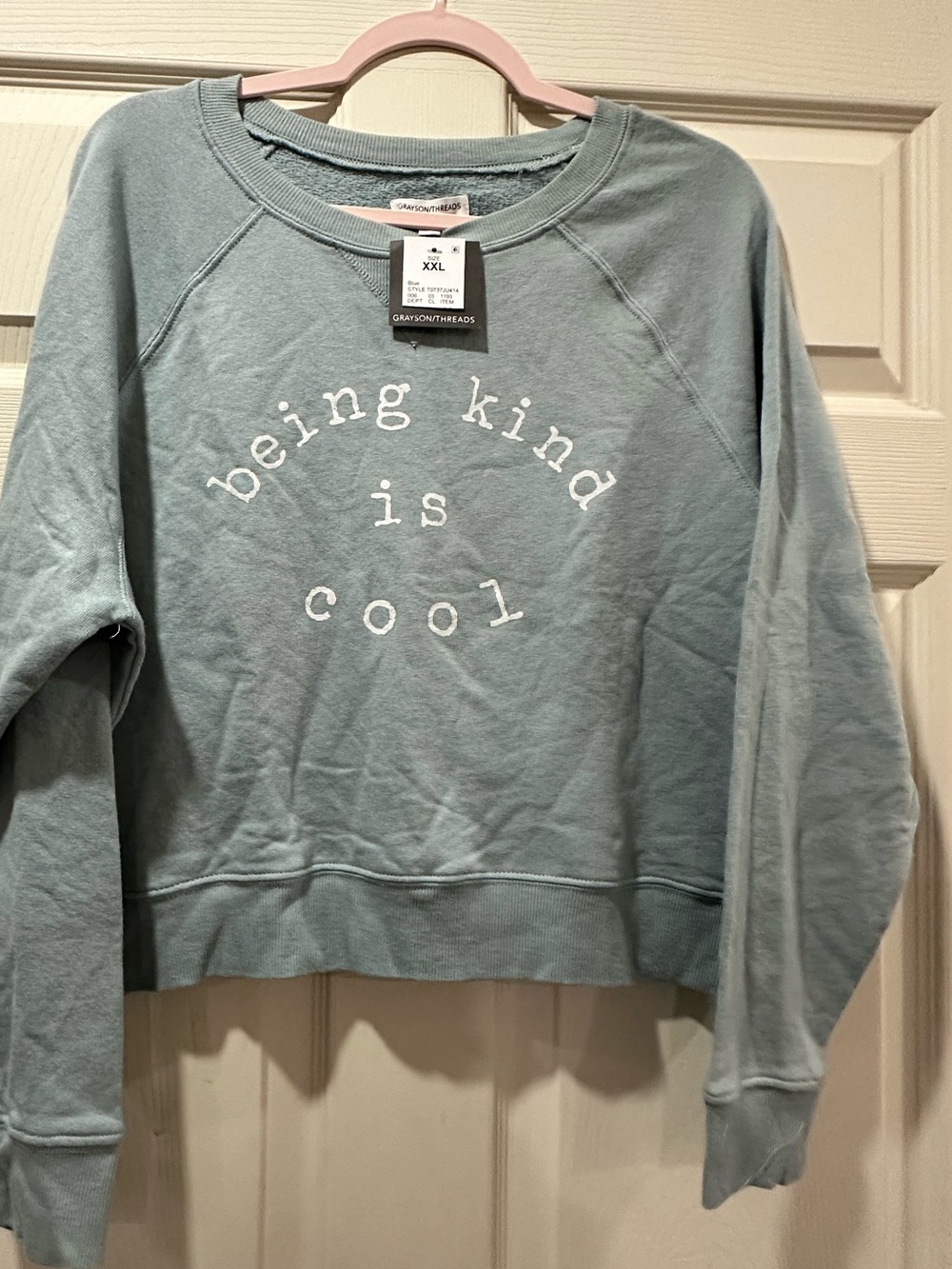 Grayson Threads Pale Blue 'being kind is cool' Ladies sweatshirt.
